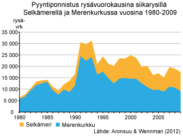 Pyyntiponnistus rysävuorokausina siikarysillä Selkämerellä ja Merenkurkussa vuosina 1980-2009.
