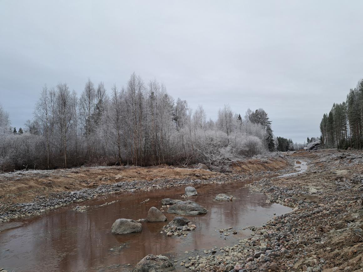 Rantavainion hulevesialtaan viereinen syvempi allasrakenne.