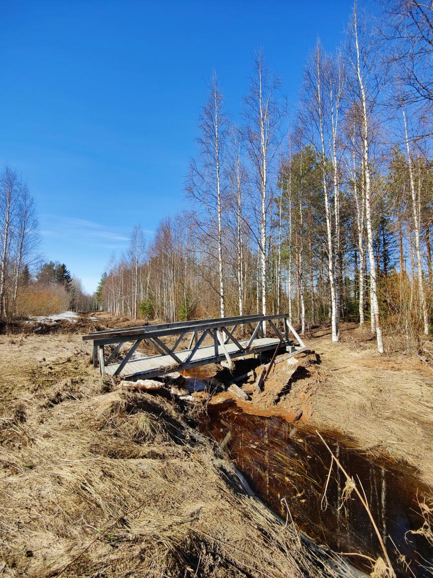 Alkuperäinen oja ja puurakenteinen silta.