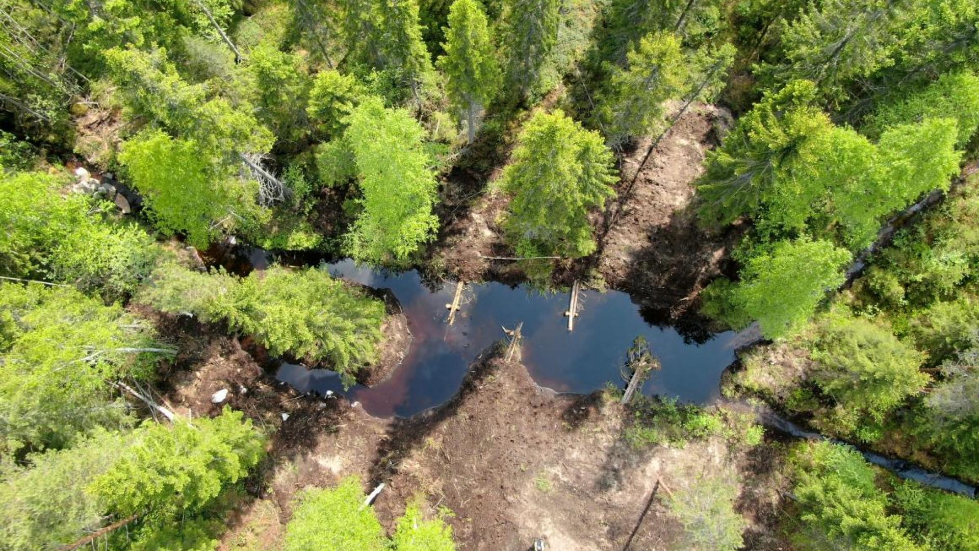 Pippirinkankaan laskeutusallas
