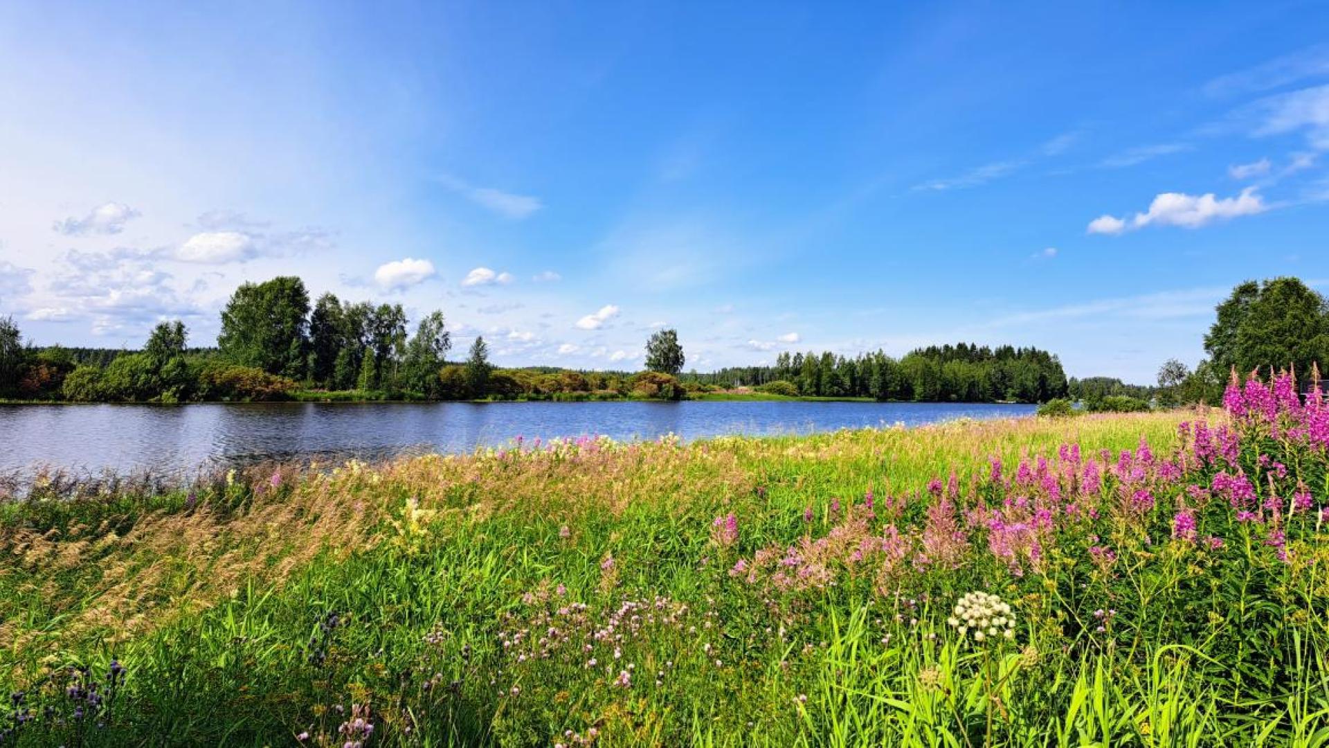 Kalajoki kesällä 2024