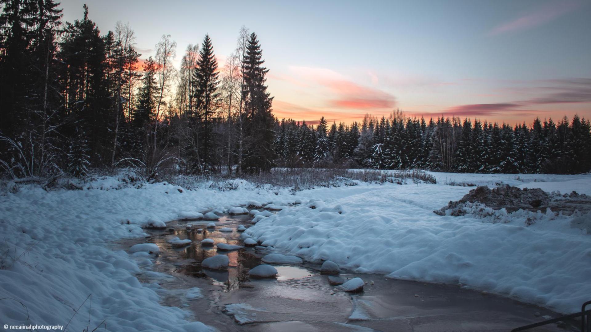 Kaupunkipuron yläosa
