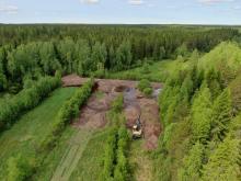 Metsäinen kosteikko